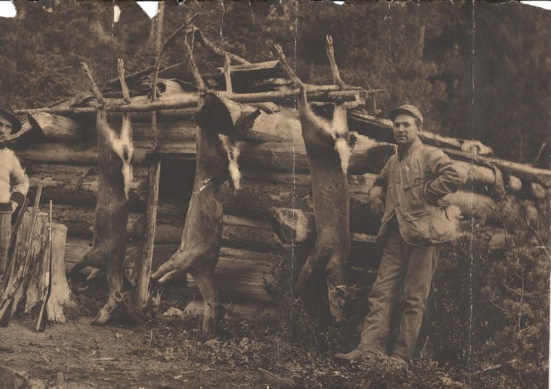 history_deer_hunt_1908_staf_crk