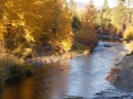 The Teanaway in Autumn